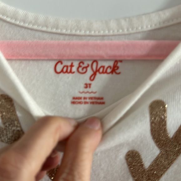 Cat & Jack Brand Girls Cream Colored Holiday Dress - Size 3T - Picture 4 of 5